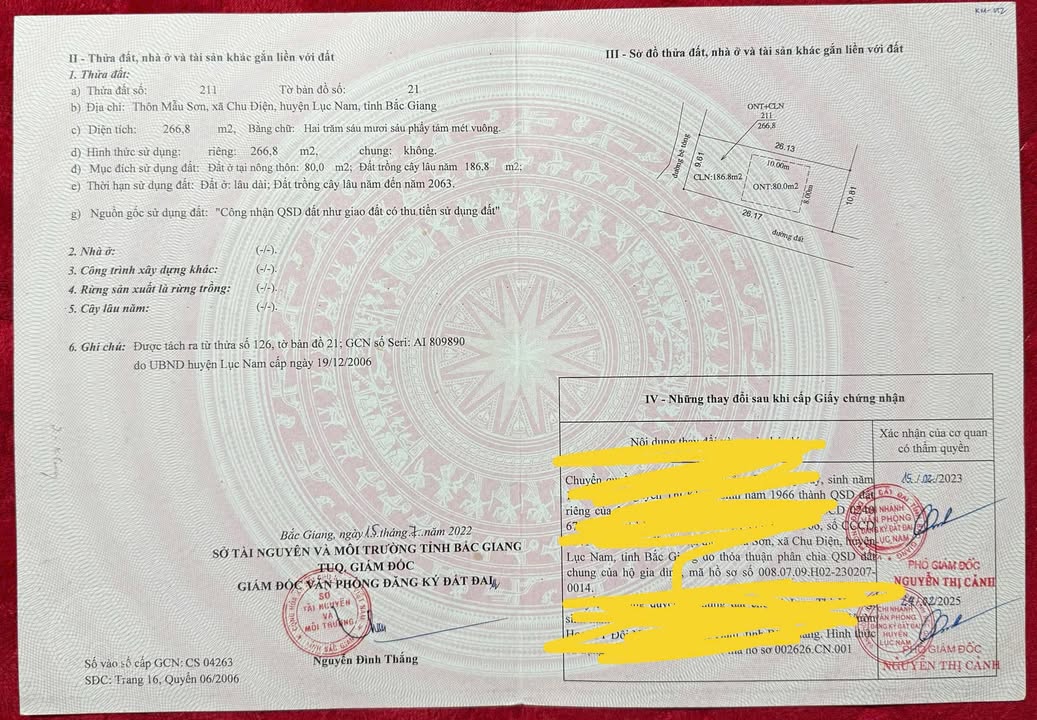 Đất mặt tiền thôn Mẫu Sơn, xã Chu Điện, 266.8m² chỉ 1.1 tỷ - Đầu tư sinh lời!