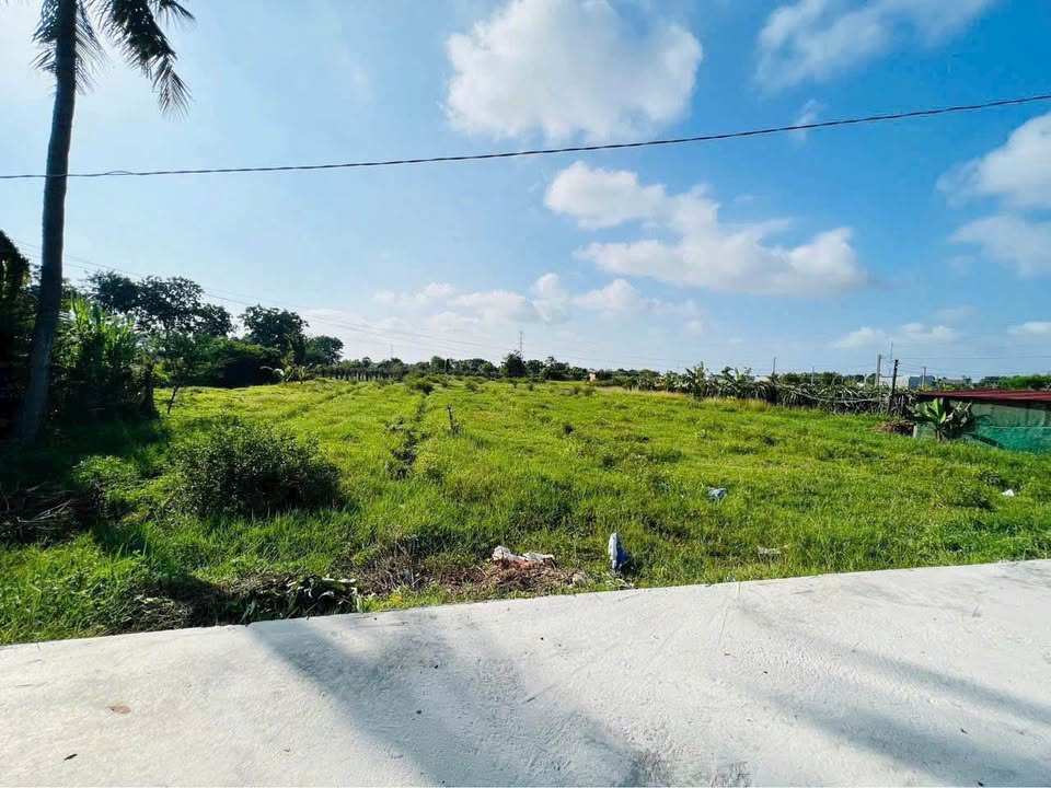 Đất thổ cư Phong Nẫm, Phan Thiết 1578m² giá 1.85 tỷ - Tiềm năng đầu tư lớn!