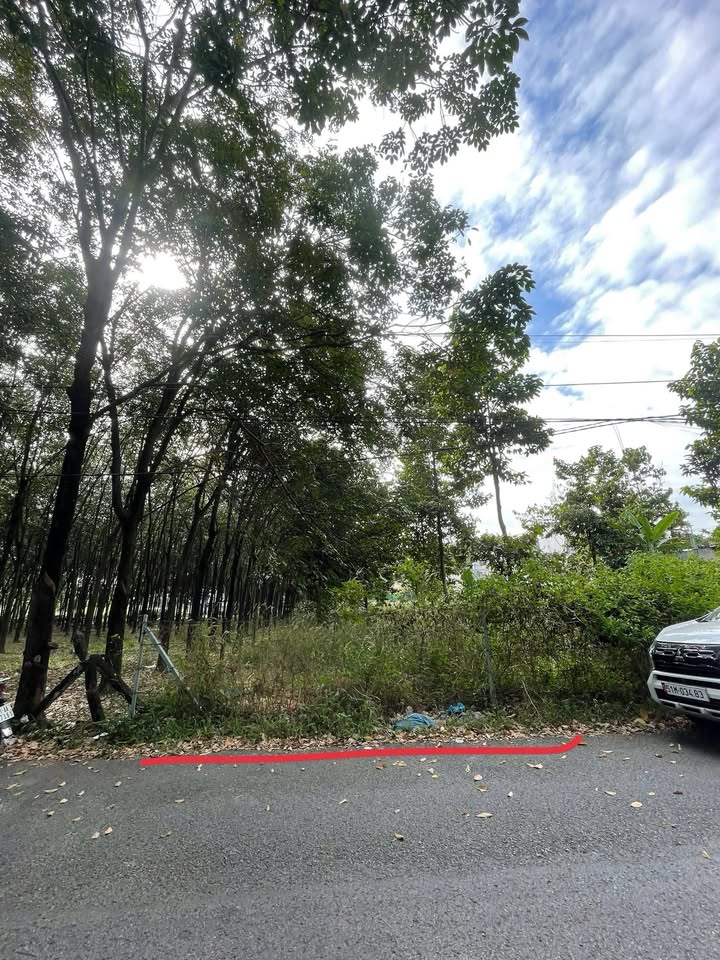 Nhà mặt tiền DX076 Định Hòa 141.4m² giá 2.95 tỷ - Vị trí đắc địa gần bệnh viện