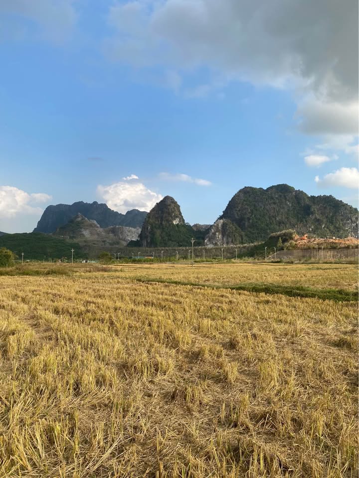 Đất nền 2500m² tại Thôn Làng, xã Thống Nhất, Hạ Long - Giá 4 tỷ - Tặng thêm xào ruộng trồng rau!