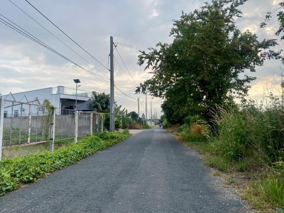 Đất vườn nghỉ dưỡng Tây An Bờ Hồ, Mỹ Thới, An Giang 1003m² - Giá tốt, cơ hội đầu tư!