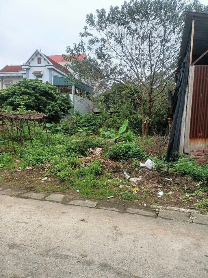 Bán đất thổ cư Đa Tốn, Gia Lâm 50m² giá 2 tỷ - Đầu tư sinh lời hấp dẫn!