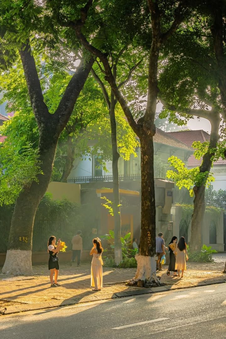 Quán cà phê nhỏ xinh phố Phan Đình Phùng 40m² giá 20 triệu - Mặt tiền rộng rãi lý tưởng!