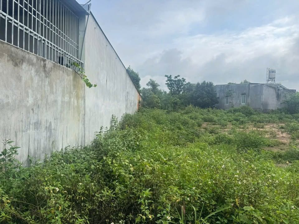 Đất thổ cư 290m² thôn Kon Rờ Bàng, TP Kon Tum - Giá chỉ 500 triệu!