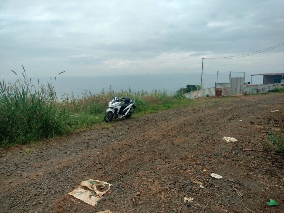 Đất nền Liên Hà 1ha giá 3.98 tỷ - Mặt tiền đường lớn, dễ canh tác!