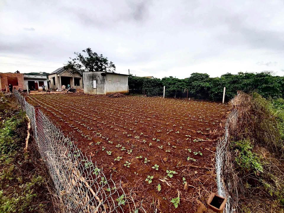 Đất Tại Nung - Cam Ly, Đà Lạt 250m² chỉ 2.7 tỷ - Cơ hội đầu tư hấp dẫn!