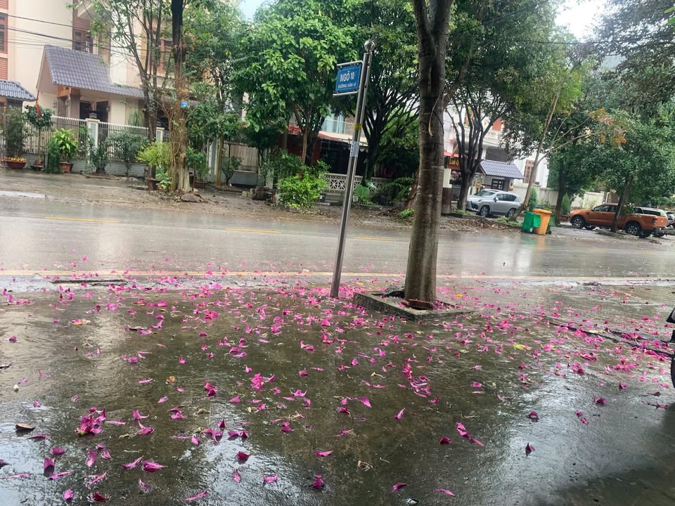 Nhà cho thuê tại Chi Lăng, Lạng Sơn - Diện tích 80m², giá chỉ 4 triệu/tháng