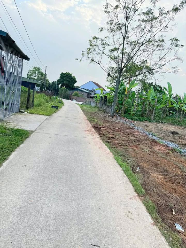 Đất nền Ninh Dương Móng Cái 90m² giá chỉ 1xx triệu - Cơ hội đầu tư sinh lời!