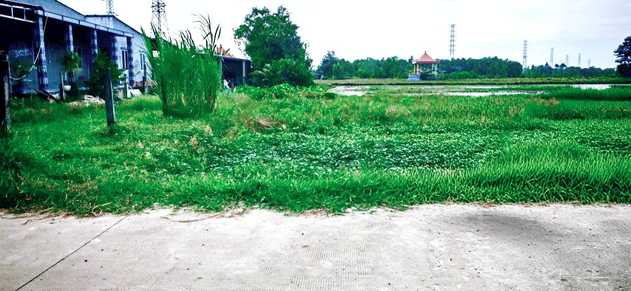 Đất thổ cư Hòa Khánh Tây 430m² giá 1.52 tỷ - Đầu tư sinh lời tốt