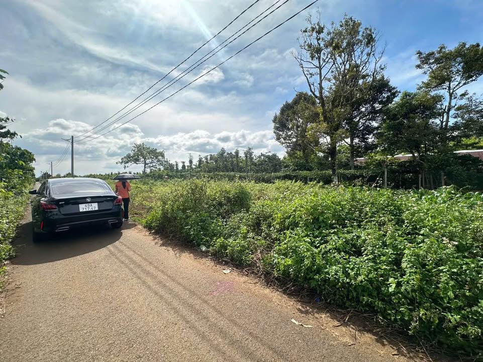 Đất thổ cư 112m² tại Thôn 12 Lộc Ngãi, Bảo Lâm chỉ 380 triệu - Đầu tư sinh lời!