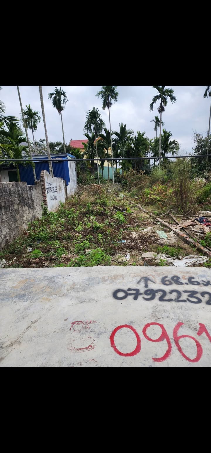 Đất nền Đào Yêu, An Hải 68m² giá 1.4 tỷ - Tiềm năng đầu tư lớn!