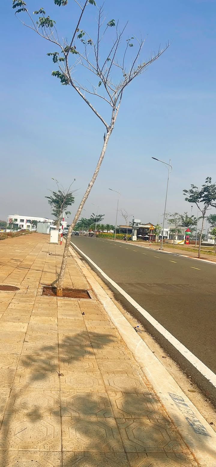 Biệt thự gốc Diamond City Lộc Ninh 11m² giá 2 tỷ - Khu vực sầm uất gần công viên!