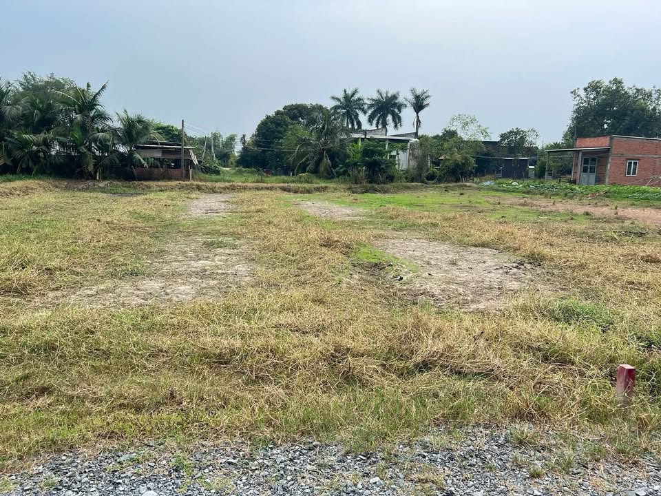 Đất nền Ấp Lập Thành, Hòa Khánh Tây 370m² giá 1.35 tỷ - Cơ hội đầu tư tuyệt vời!