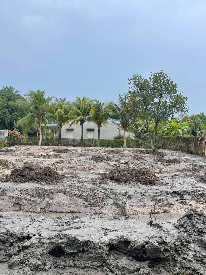 Đất vườn xã Đức Hòa 832m² giá 1.2 tỷ - Cơ hội đầu tư tuyệt vời!