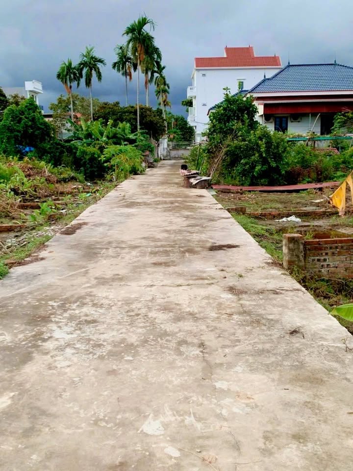 Đất Lương Quy, phường Lê Lợi, An Dương 60m² giá 800 triệu - Đầu tư sinh lời ngay!