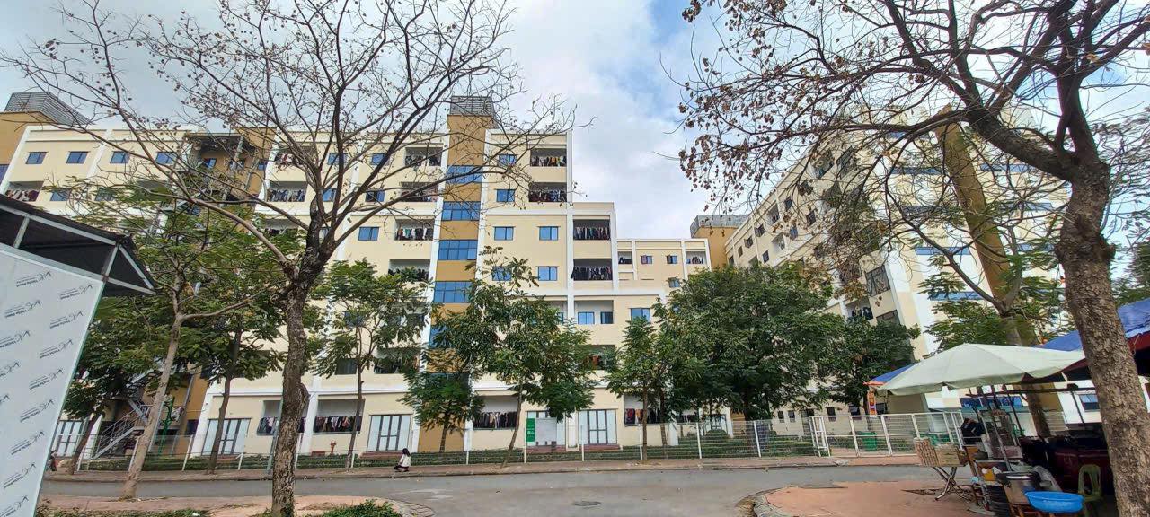 Đất nền dự án Viglacera Đông Phong, Yên Phong 91m² giá 3 tỷ - Cơ hội đầu tư lý tưởng!