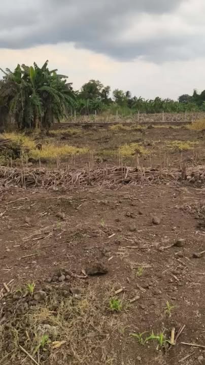 Đất Bàu Hàm, Trảng Bom 1.723m² chỉ 2 tỷ - View suối đẹp mát mẻ!