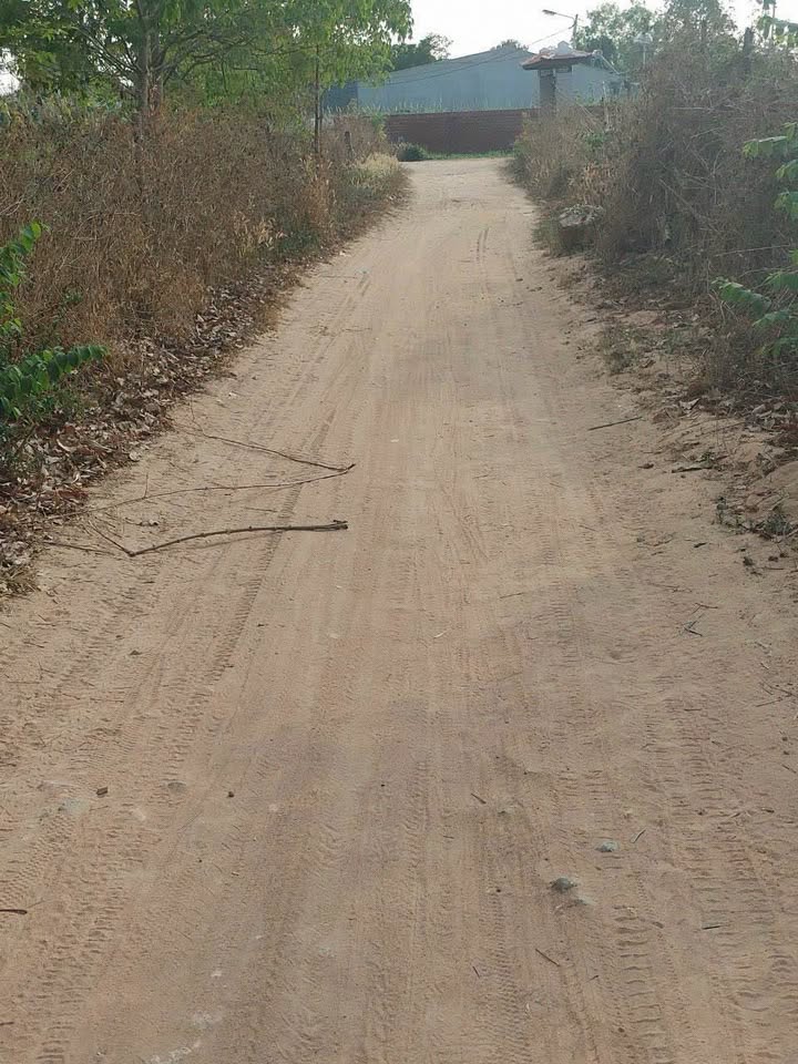 Lô đất nông nghiệp Vinh Quang Kon Tum 1.235m² giá chỉ 3xx triệu - Cơ hội đầu tư hấp dẫn!