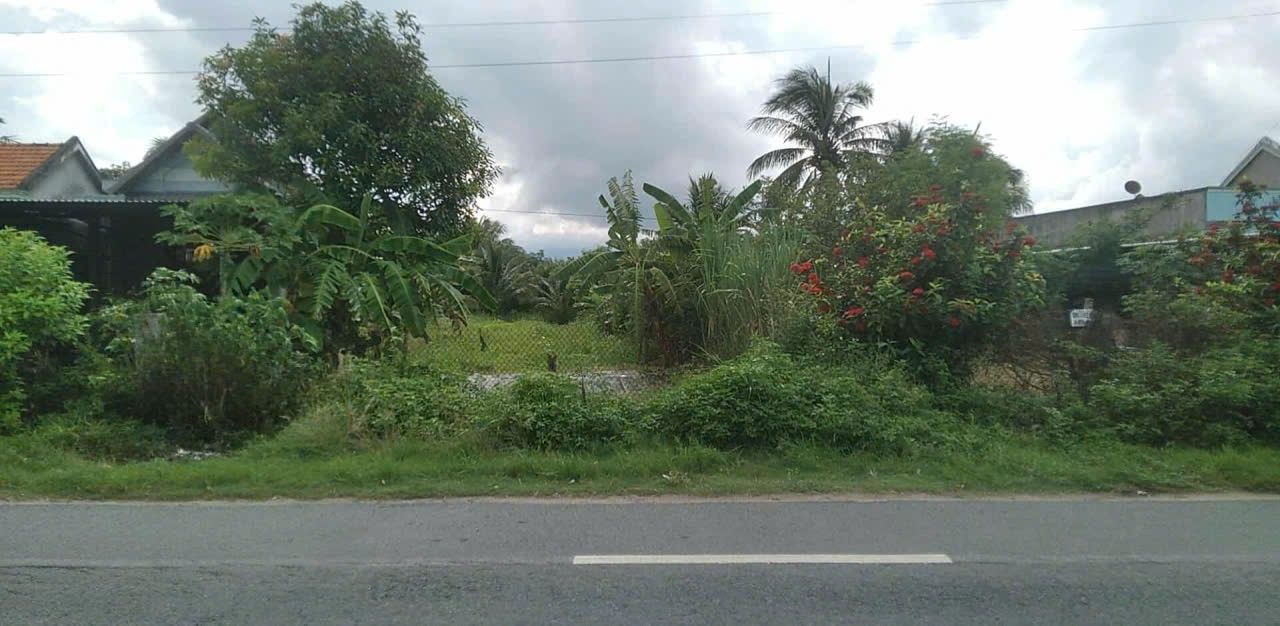 Đất nền Ninh Hòa Khánh Hòa 500m² giá 3 tỷ - Đầu tư sinh lời hấp dẫn!