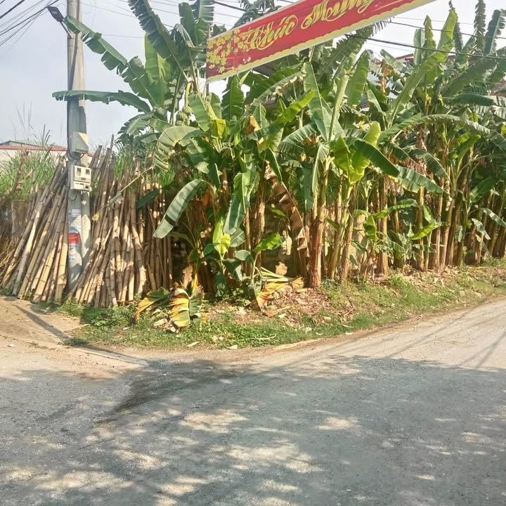 Lô đất 2 mặt tiền Khu TĐC Sơn Cảnh, Cam Đường 340m² giá 2.4 tỷ - Đầu tư sinh lời ngay!