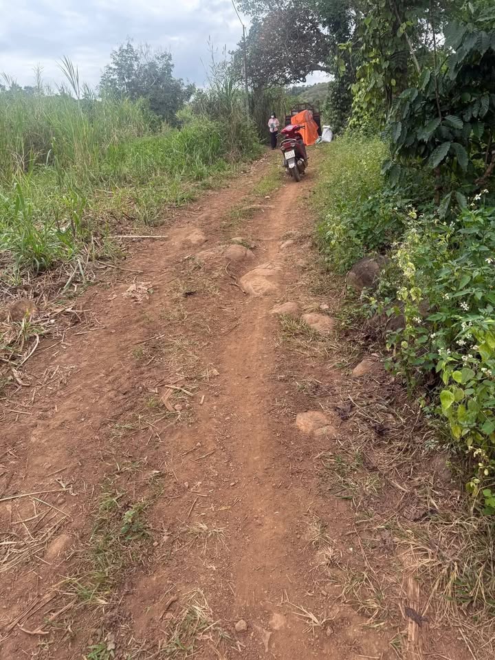 Đất nền Hòa Phú Buôn Ma Thuột 16200m² giá 550 triệu - Đầu tư sinh lời ngay!