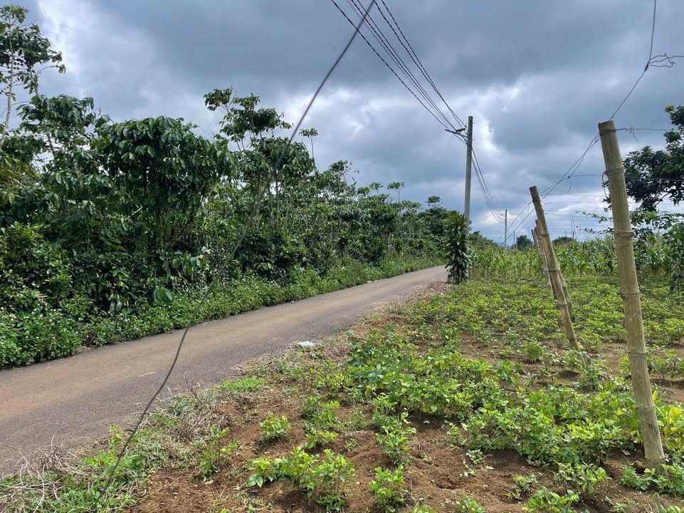 Đất thổ cư Thôn 12, Lộc Ngãi, Bảo Lâm 107.2m² giá 380 triệu - Cơ hội đầu tư tuyệt vời!