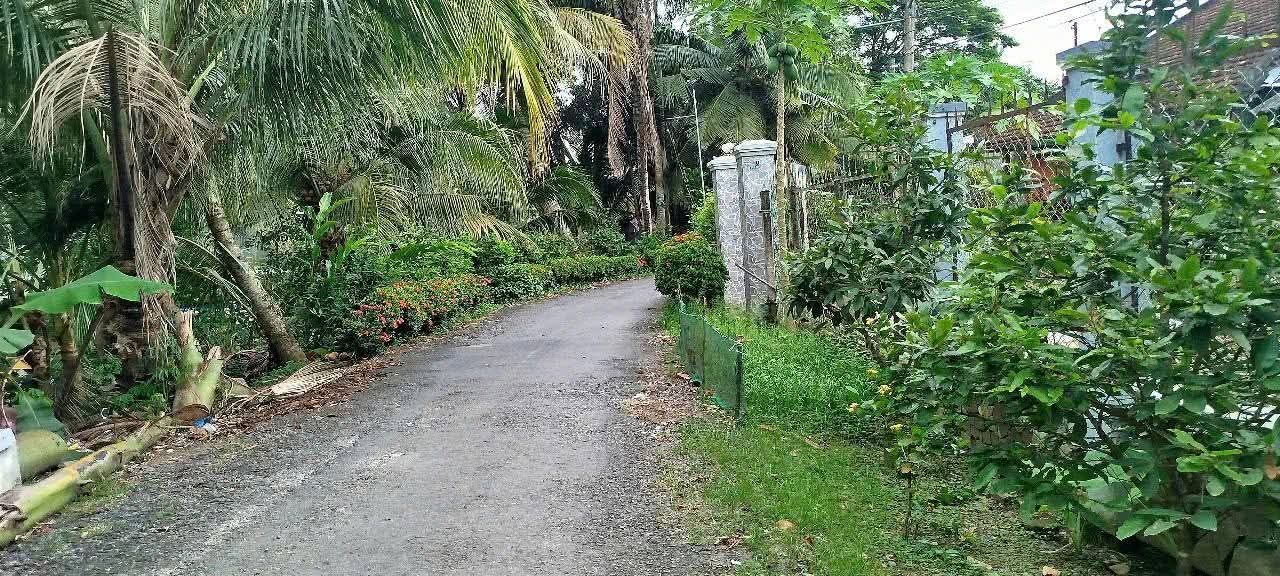 Đất nghỉ dưỡng 400m² Phước Thới, Ô Môn - Giá chỉ 800 triệu, cơ hội đầu tư tuyệt vời!