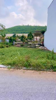 Đất nền Rừng Thông Đông Sơn 90m² giá 1.4 tỷ - Đầu tư sinh lời ngay!