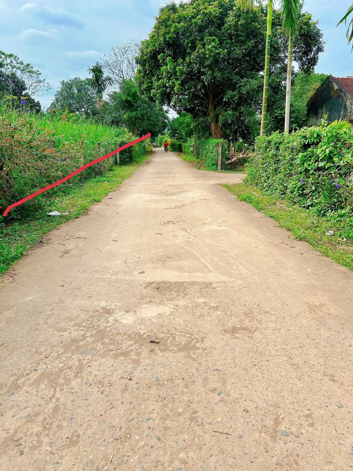 Đất nền liền kề Thành Mỹ, Thạch Thành 104.5m² giá chỉ 1xx triệu - Sổ hồng sang tên ngay!