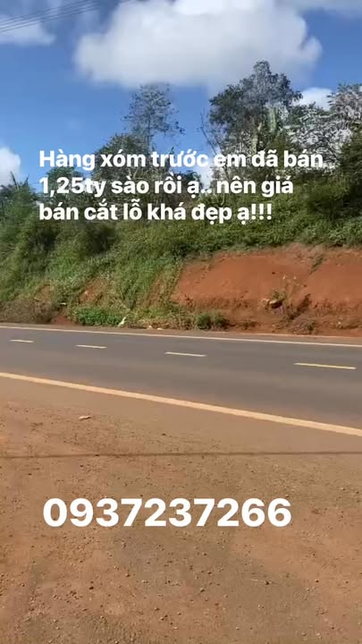 Farm Đắk Lắk 1080m² giá 1.25 tỷ - Đầu tư sinh lời bền vững!