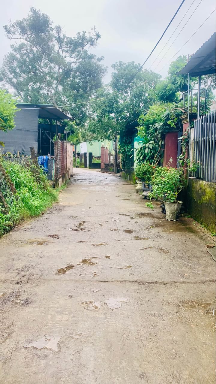 Đất vườn phường Nghĩa Lộ 592m² giá 2 tỷ - Hẻm ô tô vào tận nơi!