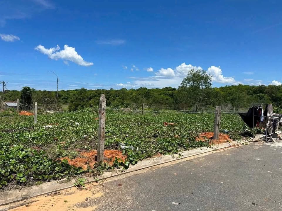 Đất thổ cư Thiện Nghiệp 115m² giá 900 triệu - Sổ hồng chính chủ, xây dựng ngay!