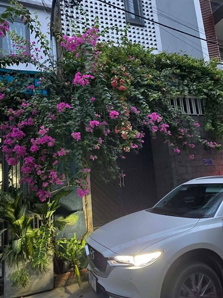 Nhà đẹp Bình Tân 85.4m² giá 6.8 tỷ - Ô tô đậu trước cửa!