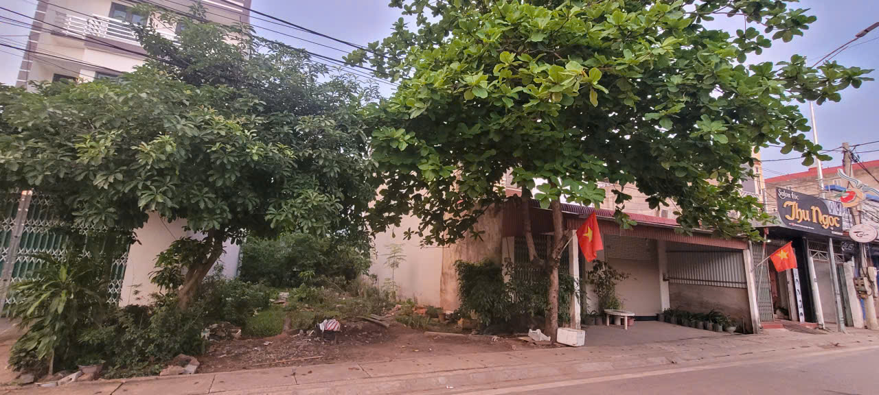 Đất thổ cư Trần Phú, Bắc Giang 217m² - Vị trí đắc địa, kinh doanh sầm uất!