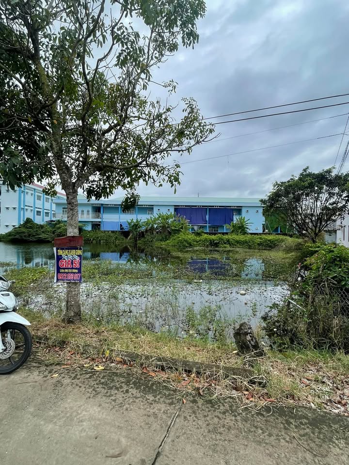 Đất Thổ Cư Thới Bình 705m² giá 7.05 tỷ - Vị trí thuận lợi, đường ô tô ra vào thoải mái!