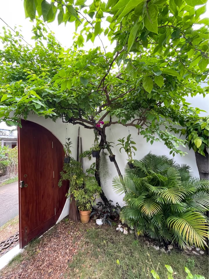 Nhà vườn Đông Hòa 113,7m² giá 2,6 tỷ - Thiết kế đẹp, vào ở ngay!