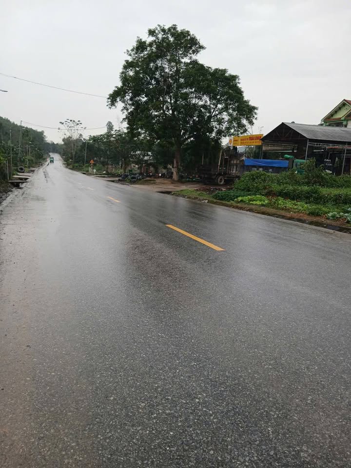 Đất đẹp Thanh Mỹ 832.6m² giá 1.8 tỷ - Phù hợp kinh doanh