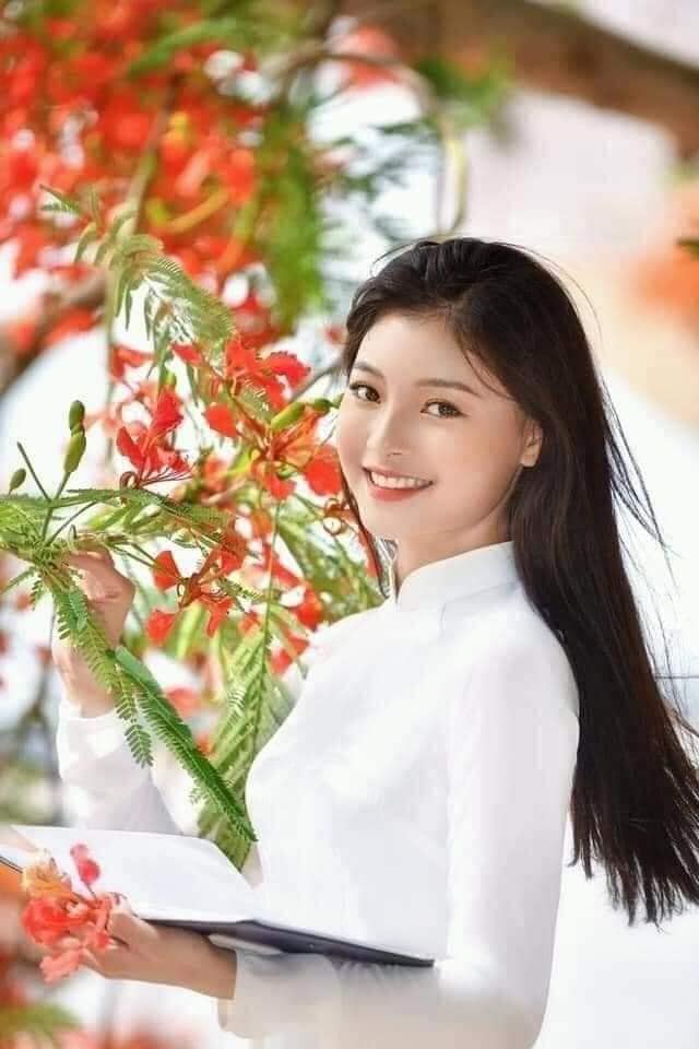 Nhà liền kề Văn Khê 82m² giá 8.7 tỷ - Sổ đỏ chính chủ, kinh doanh tốt!