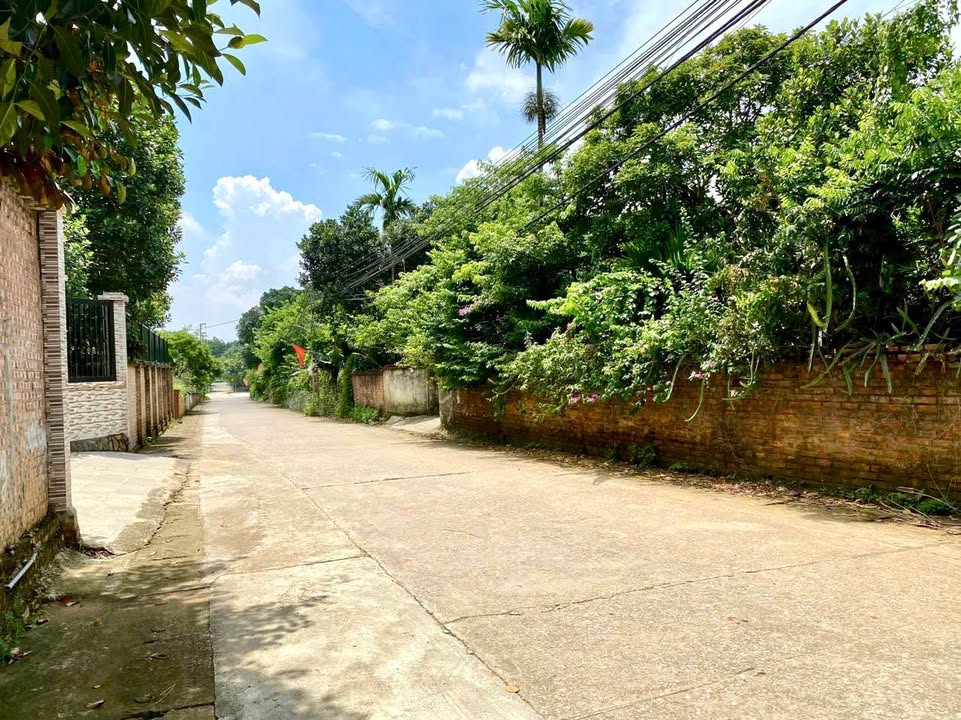 Đất nền Yên Bài, Ba Vì 157m² giá 3 tỷ - Đầu tư sinh lời ngay!