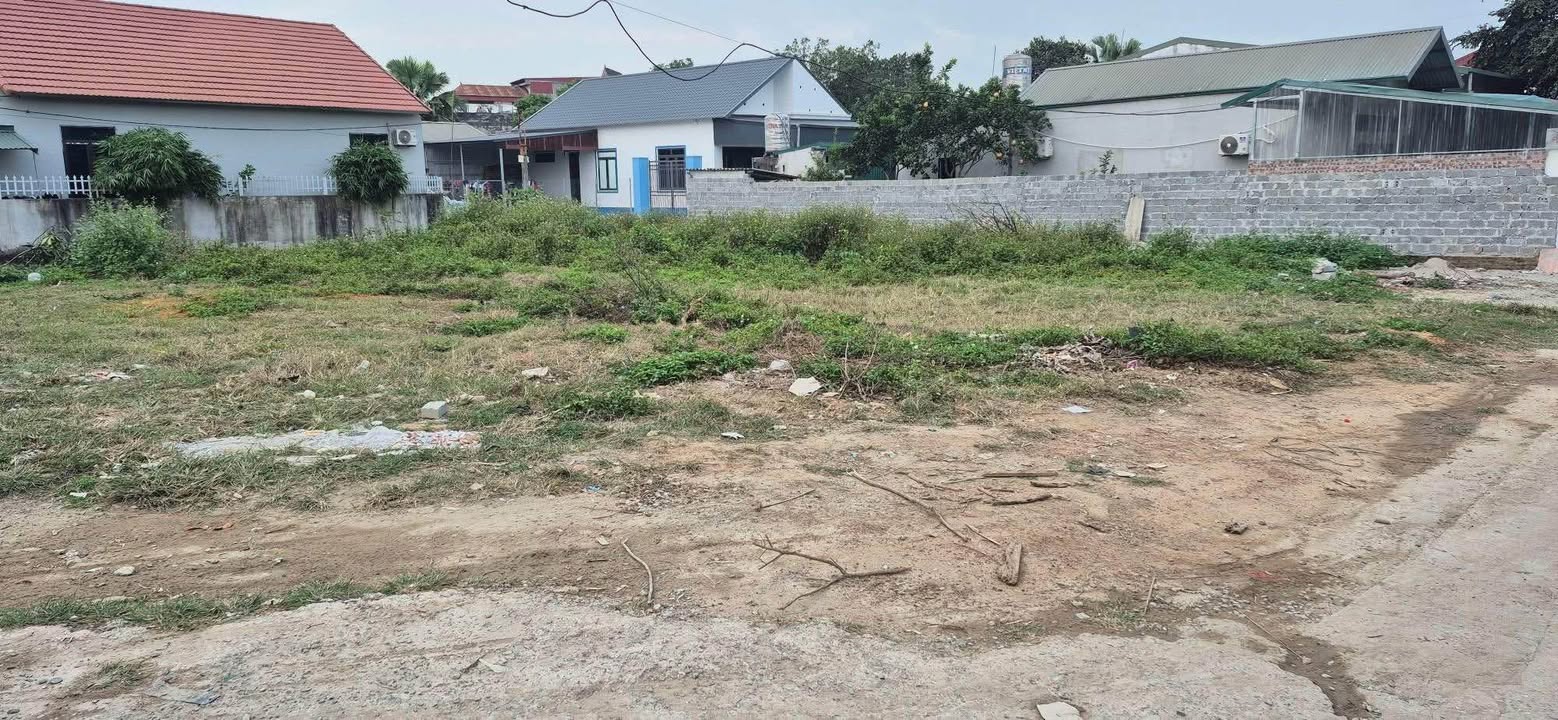 Đất nền 280m² tại Thanh Mỹ, Sơn Tây - Giá chỉ 3 tỷ, 3 mặt tiền rộng rãi!