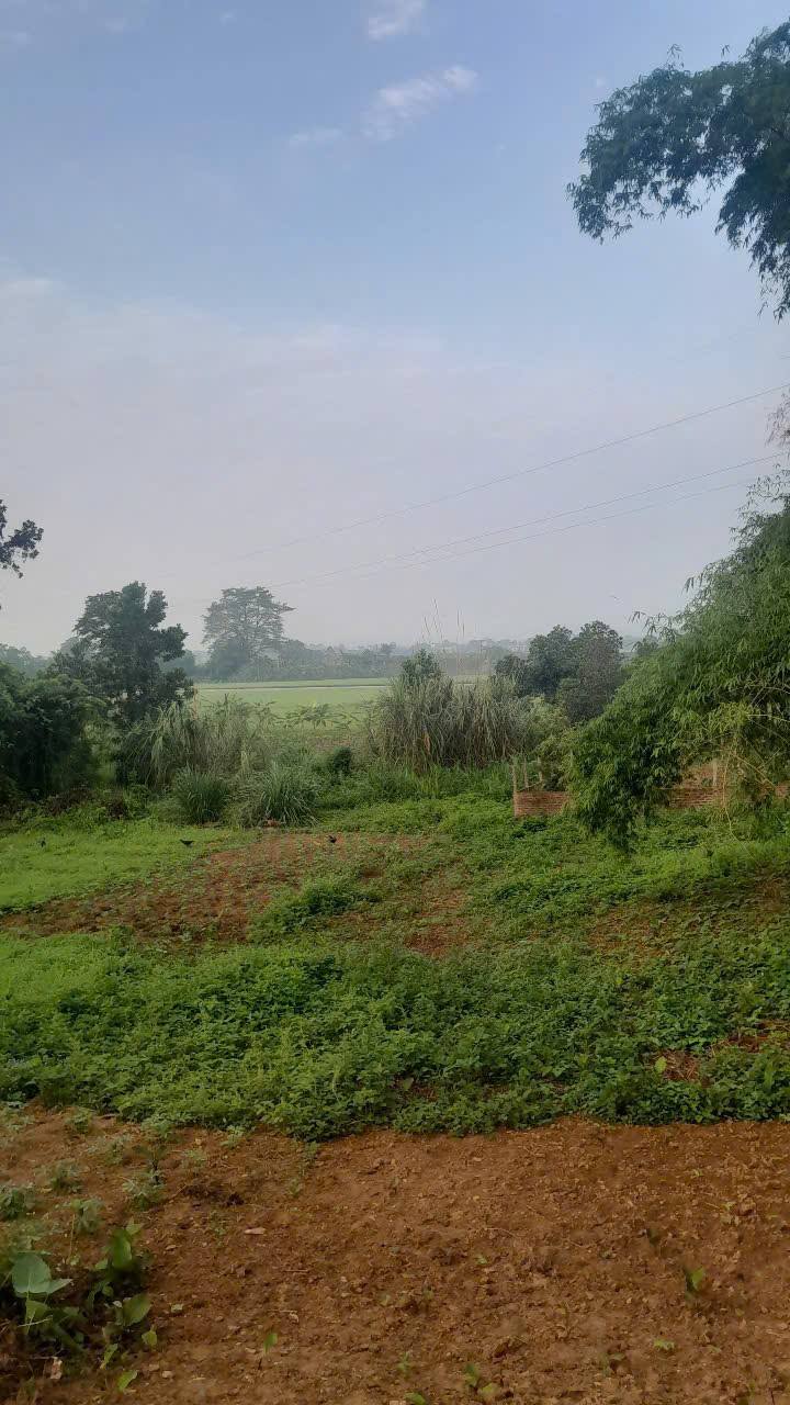 Đất nền Khánh Thượng, Ba Vì 1600m² giá 2 tỷ - Cơ hội đầu tư hấp dẫn!