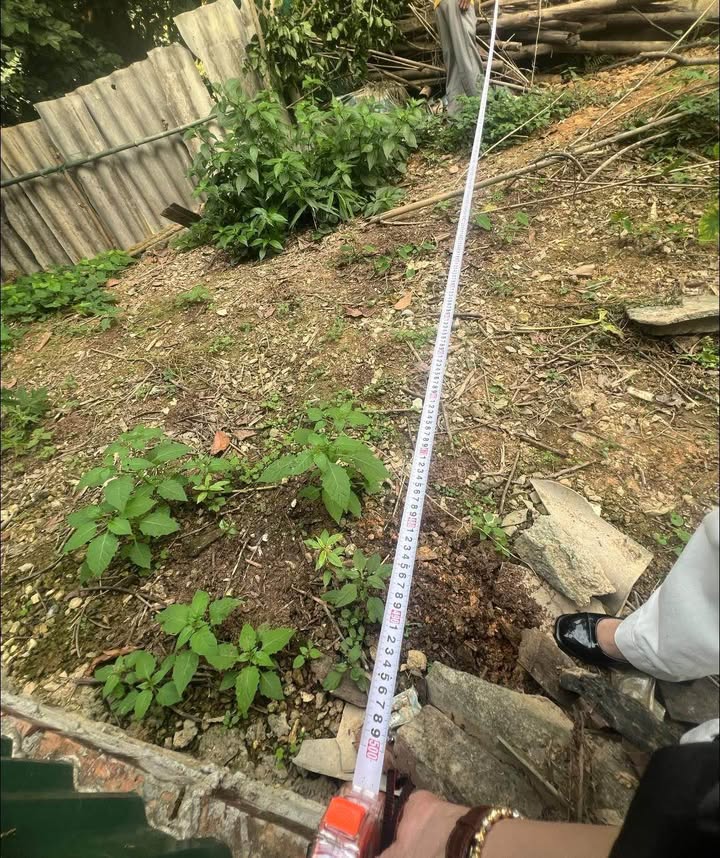 Đất kinh doanh mặt đường Ruộc Ngang 150m² tại phường An Tường - Thích hợp cho mọi loại hình buôn bán!