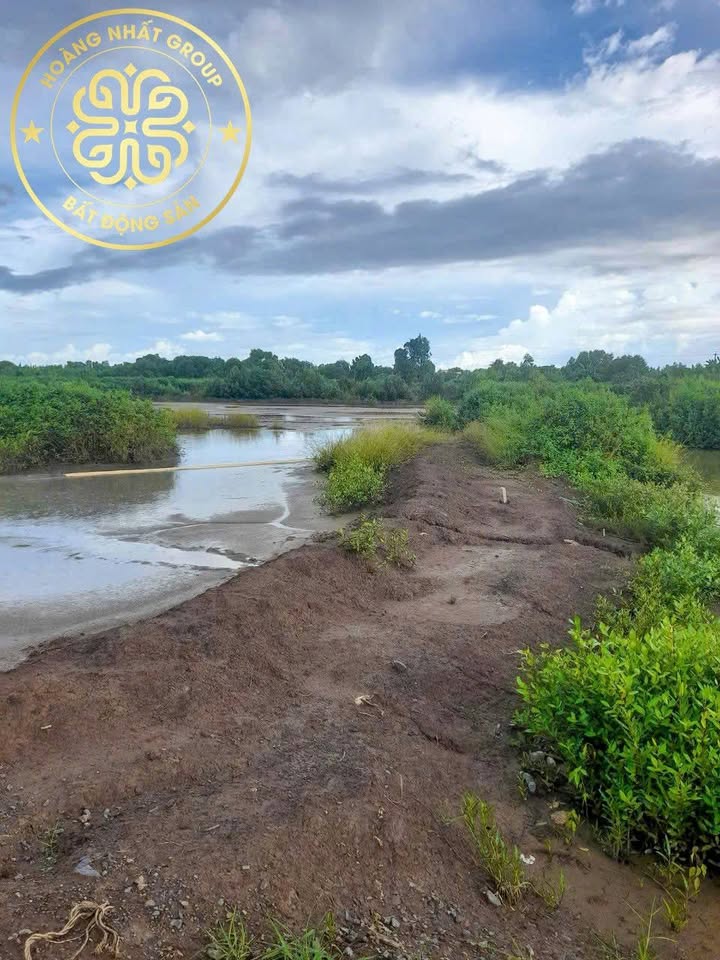 Đất nền mặt tiền đường Đông - Tây, xã Tân Thuận, 1240m² giá 1.4 tỷ - Đầu tư sinh lời ngay!