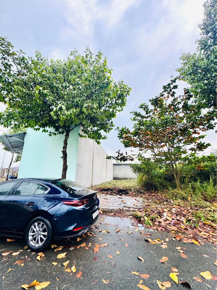 Đất nền tái định cư Long Hòa B, Đạo Thạnh 100m² giá 2.49 tỷ - Cơ hội đầu tư hấp dẫn!