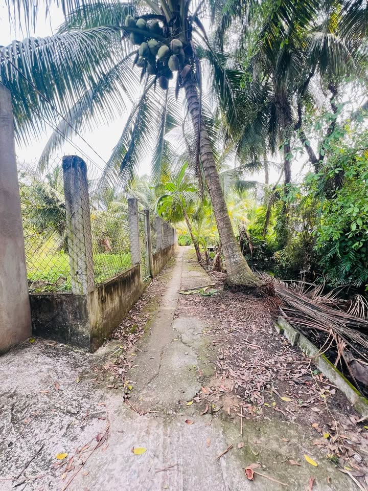 Nhà vườn Long Định 409.5m² giá 750 triệu - Đầu tư sinh lời hấp dẫn!