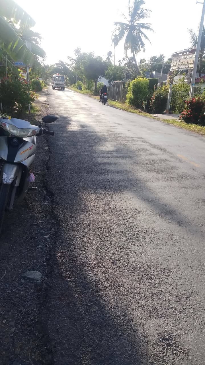 Đất nền mặt tiền tỉnh lộ 911, Càng Long 350m² - Đầu tư sinh lời cao!