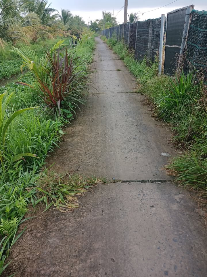 Đất vườn Càng Long 2300m² giá 420 triệu - Cơ hội đầu tư tuyệt vời!