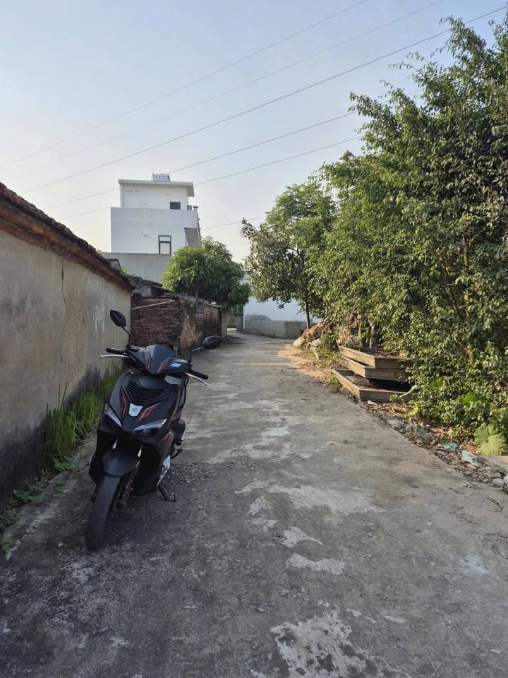 Đất nền Phú Xuân Thái Bình 65m² giá 800 triệu - Tiềm năng đầu tư sinh lời!