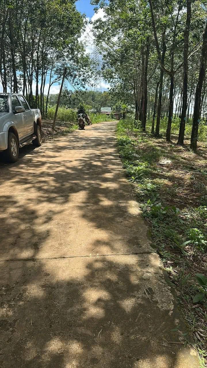 Đất nền thổ cư 1000m² xã Nhân Đạo giá 470 triệu - Bán gấp, cơ hội đầu tư!