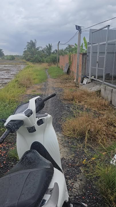 Đất thổ cư 254.4m² xã Mỹ Phú Thủ Thừa giá 950 triệu - Cơ hội đầu tư hấp dẫn!